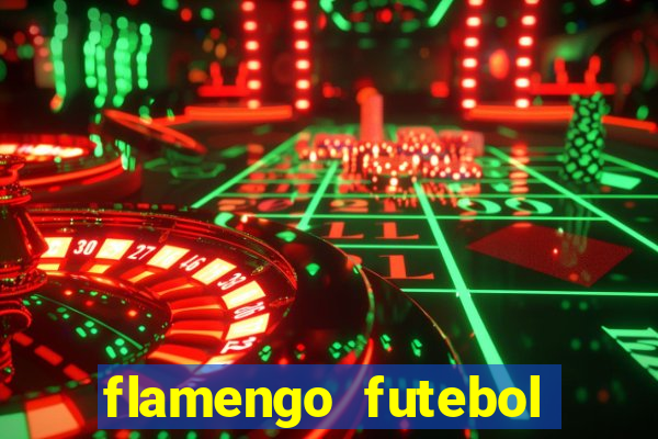 flamengo futebol play hd